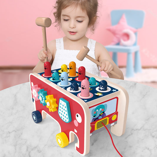 Montessori Toddlers Kids Wooden