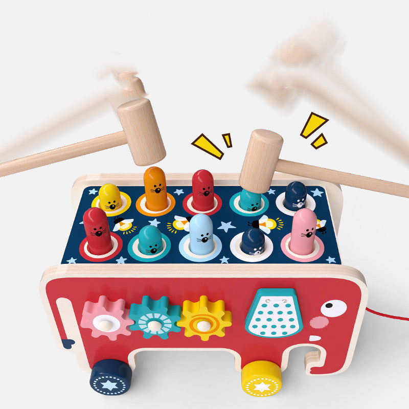 Montessori Toddlers Kids Wooden